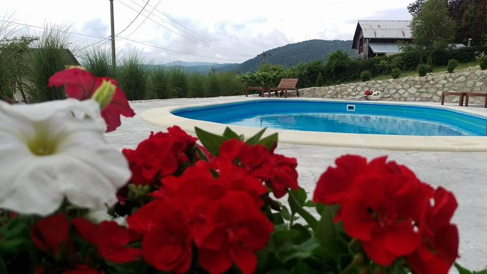 Pensiunea Casa Mircea & Restaurant Ieşelniţa エクステリア 写真