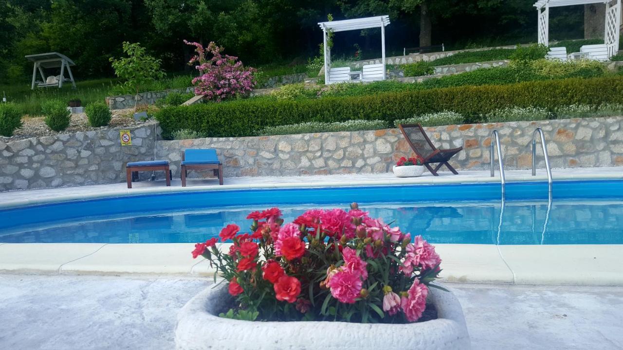 Pensiunea Casa Mircea & Restaurant Ieşelniţa エクステリア 写真