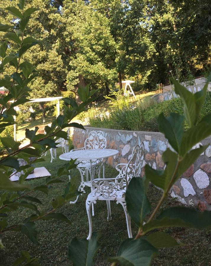 Pensiunea Casa Mircea & Restaurant Ieşelniţa エクステリア 写真